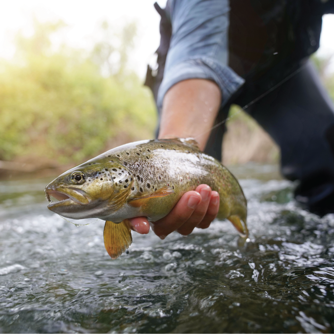fisherman holding fish
