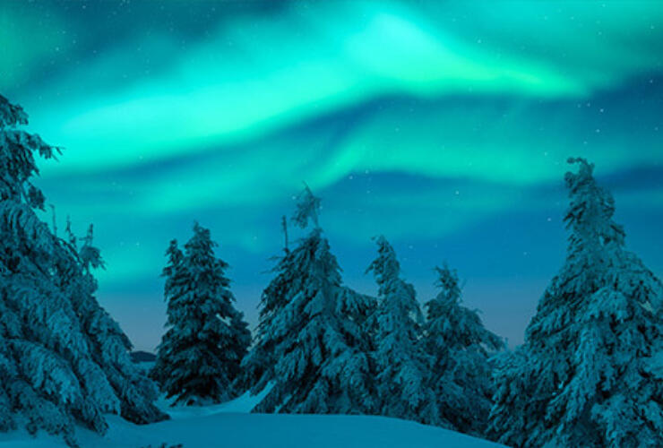 Blog Northern Lights Homepage