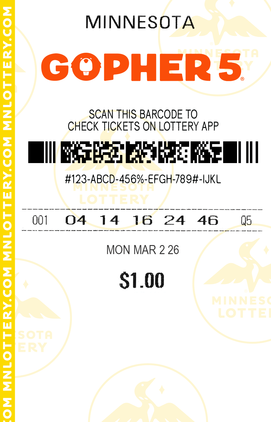 Gopher 5 Full Ticket Image