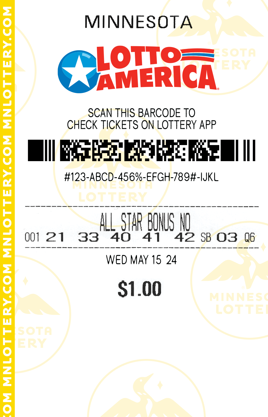 Lotto America Full Ticket Image