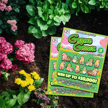 Spring Gnomes Blog Image