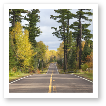 Forest Highway Photo