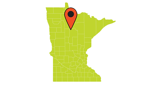 Cass Lake Pin on Minnesota