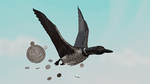 Loon Made of Coins