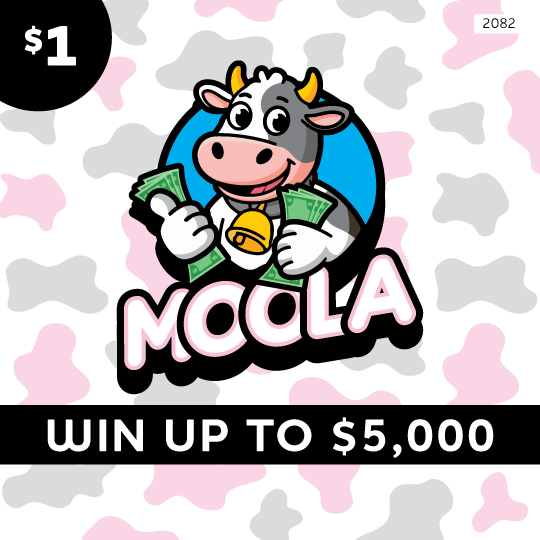 Moola Ticket Preview