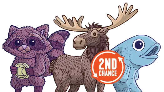 Forest Fortune 2ndchance Main Image