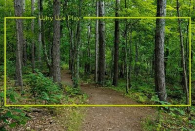 Mnl201800021 Mnlblog Forest Feed