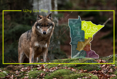 NE Beneficiaries Blog Preview