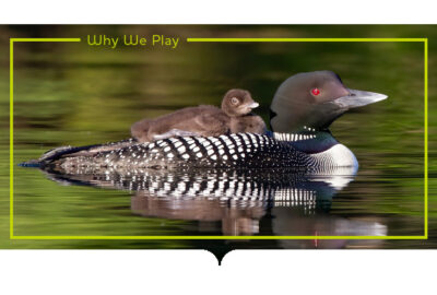 Loon Blog Preview