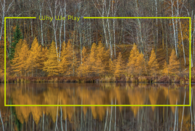 Tamarack Blog Preview