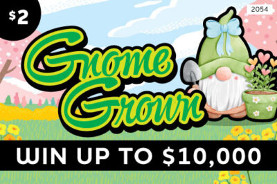 2054 Gnomes Spring Mini