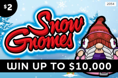 2054 Gnomes Winter Mini