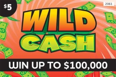2061 Wild Cash Mini