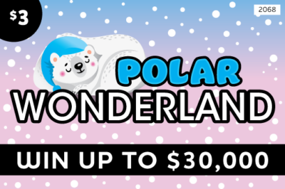 2068 Polar Wonderland Mini