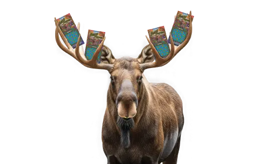 Forest Fortune Main 3