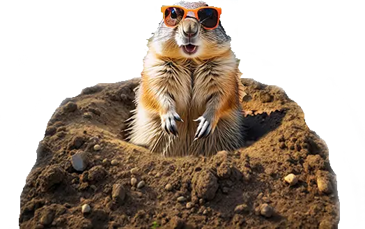 Gopher 5 Main Image 524x328 9 v2