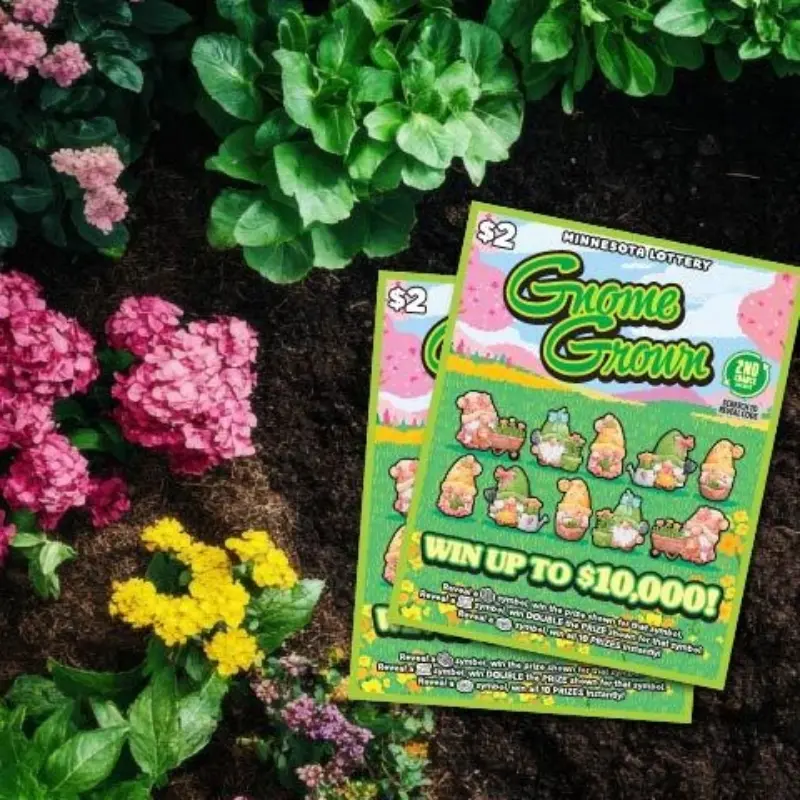 Minnesota Lottery Gnome Grown scratch-offs on garden soil near blooming pink, yellow flowers and green leafy plants.