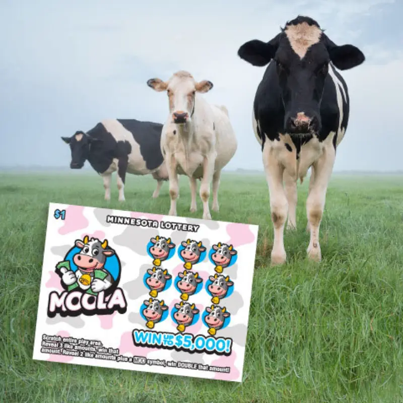Three cows in a green field under clouds. Foreground shows a Moola scratch-off ticket with cartoon cows, top prize $5,000.