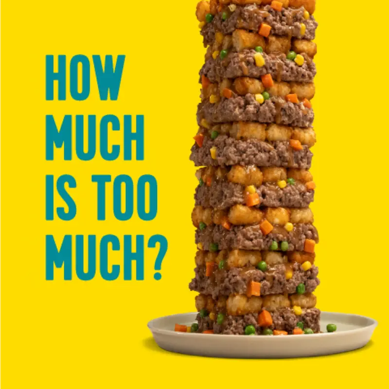 Stacked tater tot, beef, and veggie tower on white plate with yellow background. Blue text: “HOW MUCH IS TOO MUCH?”.