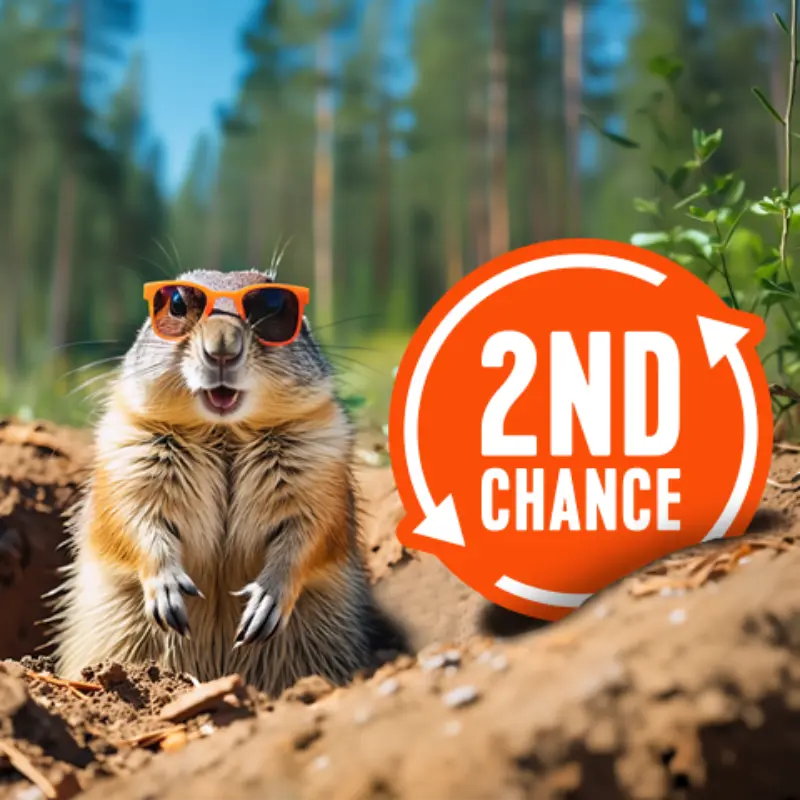 A smiling groundhog in orange sunglasses stands by an orange sign with white arrows and “2ND CHANCE” in a sunlit forest.