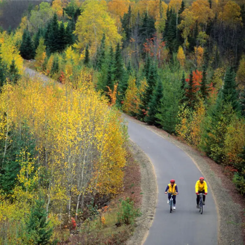Two cyclists ride a paved path through a forest with vibrant autumn foliage.