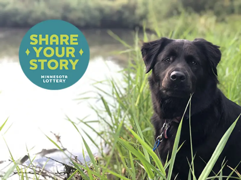 A black dog sits in green grass by a pond. A blue-green circular logo reads SHARE YOUR STORY MINNESOTA LOTTERY, with lush vegetation around.