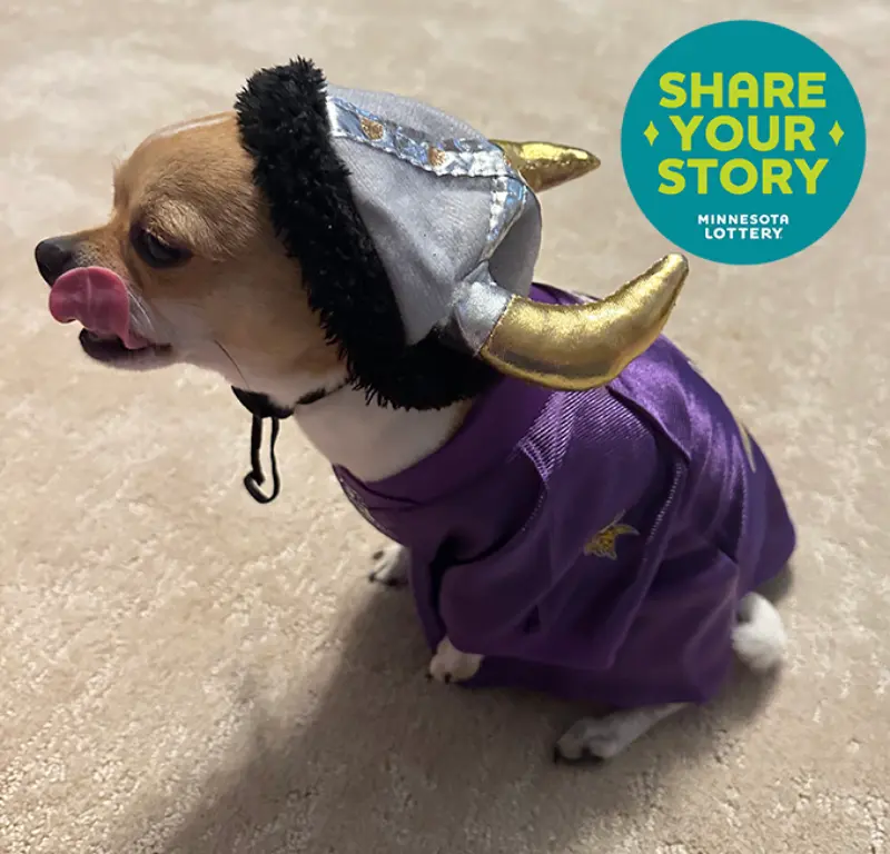 A small dog in a purple outfit and Viking helmet sits on a carpet, licking its nose. Minnesota Lottery Share Your Story logo in corner.
